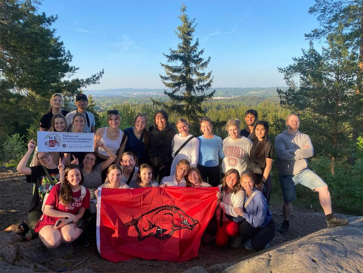 Students studying abroad in Ireland